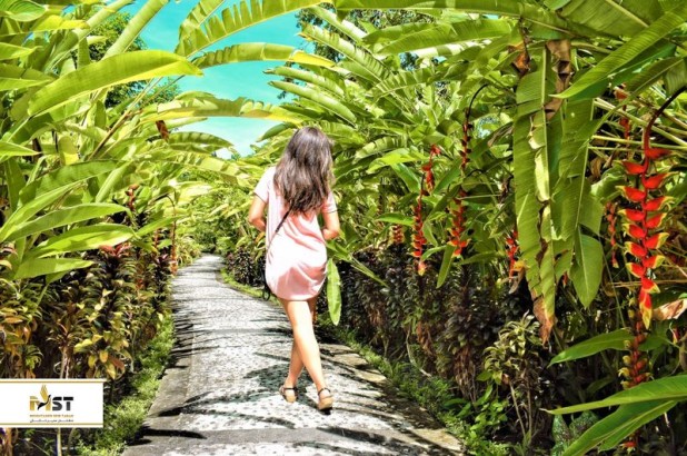 ۱۵ فعالیت جذاب در سانور بالی