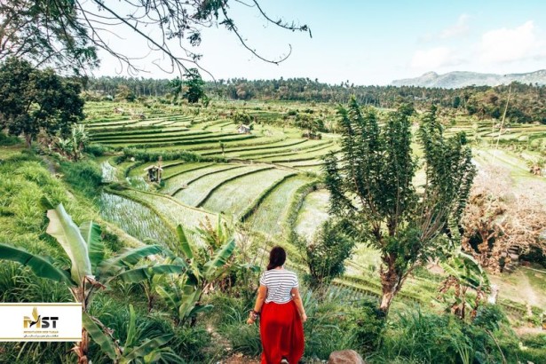 معرفی ۵ تفریح لاکچری در سفر به بالی معرفی ۵ تفریح لاکچری در سفر به بالی