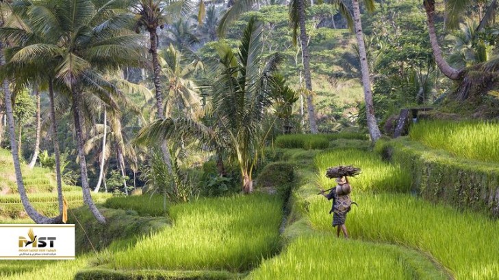 راهنمای استفاده از حمل و نقل در بالی