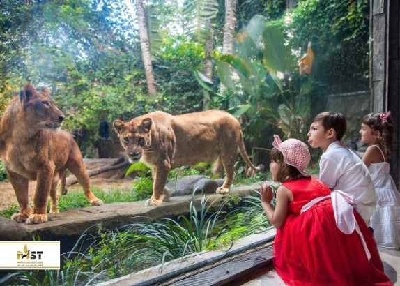 مهم‌ترین پارک‌ها و فضاهای سبز بالی: قسمت دوم