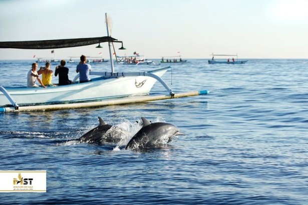 بهترین فعالیت‌ها در شمال بالی