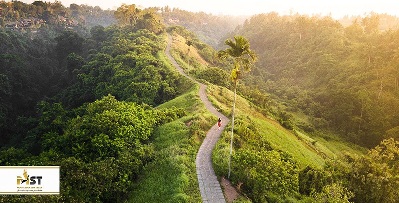 بهترین فعالیت‌های اوبود بالی