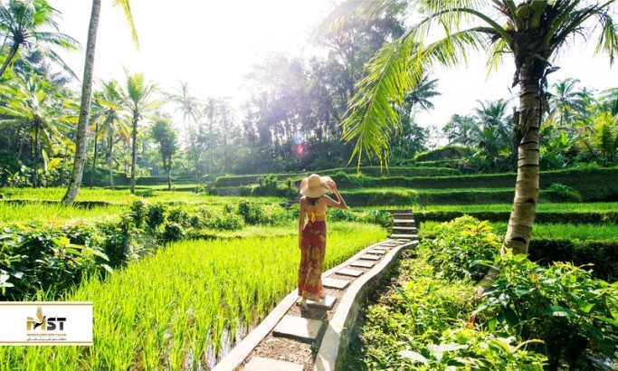 فیلمی که با تماشای آن عاشق بالی می‌شوید