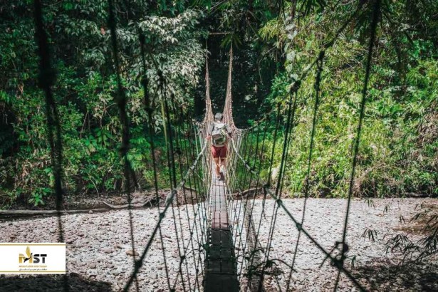 ۱۰ شگفتی طبیعی مالزی که باید از آنها دیدن کنید ۱۰ شگفتی طبیعی مالزی که باید از آنها دیدن کنید