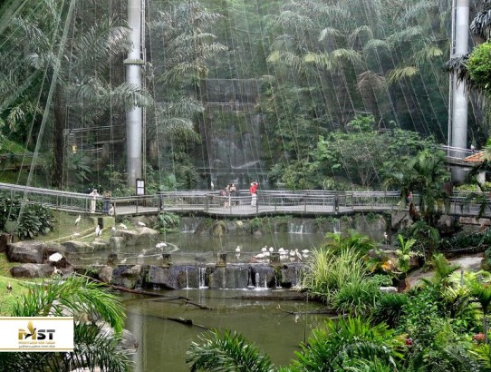 برای ثبت خاطرهای بیتکرار ، به پارک پرندگان و پروانههای کوالالامپور بروید برای ثبت خاطرهای بیتکرار ، به پارک پرندگان و پروانههای کوالالامپور بروید