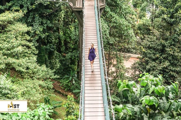 بازدید از باغ‌ گیاه‌شناسی پردانا و اکوپارک کوالالامپور