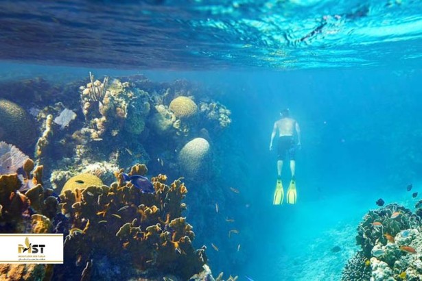 ۴ تور ماجراجویانه و متفامت در لنکاوی ۴ تور ماجراجویانه و متفامت در لنکاوی