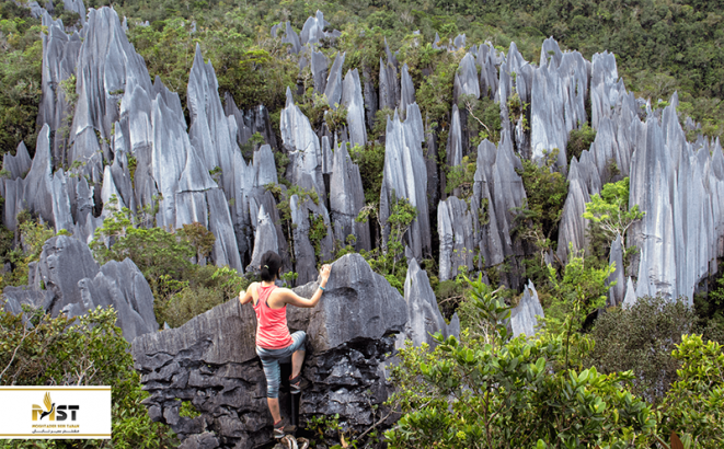 معرفی پارک گونونگ مولو مالزی