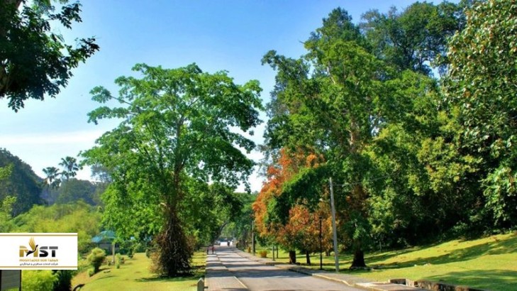 ۸ مکان رویایی در پنانگ برای پیادهرویهای لذتبخش در طبیعت جادویی ۸ مکان رویایی در پنانگ برای پیادهرویهای لذتبخش در طبیعت جادویی