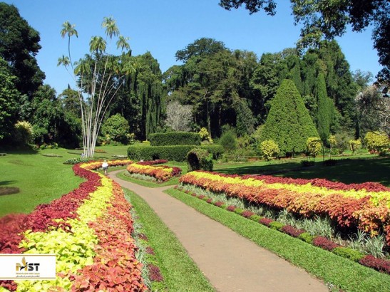 معرفی باغ‌های گیاه‌شناسی پنانگ