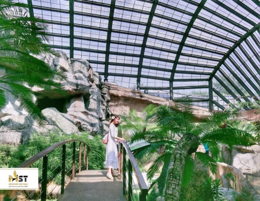 فعالیت‌های جذاب در روزهای بارانی پنانگ