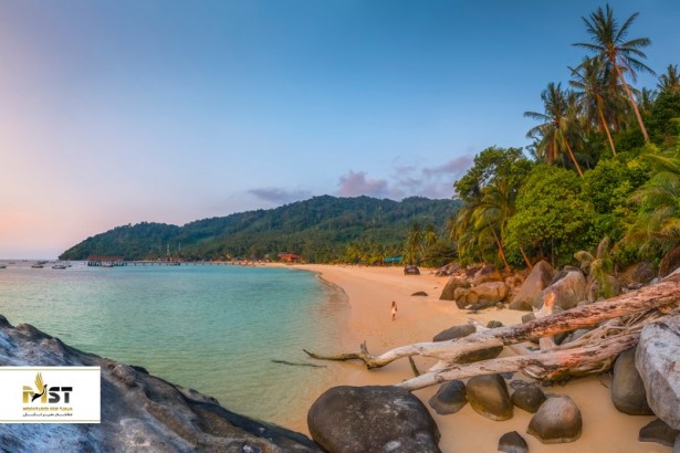 سفر به جزیره تیومان در تور مالزی