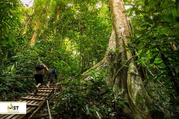 شگفتی‌های طبیعت مالزی (بخش اول)