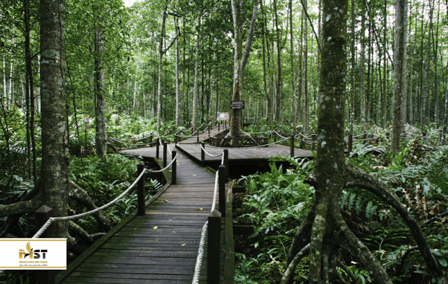 معرفی بهترین ذخایر طبیعی مالزی