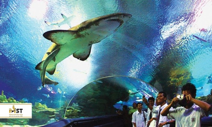 گشت و گذار در آکواریوم جذاب کوالالامپور گشت و گذار در آکواریوم جذاب کوالالامپور