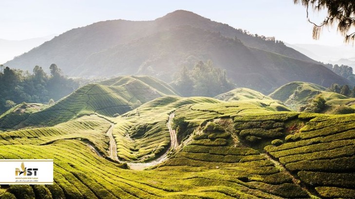 راهنمای کامل سفر نوروزی به مالزی