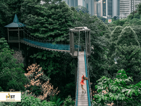 حیات وحش مالزی در ۱۱ مکان استثنایی (بخش دوم) حیات وحش مالزی در ۱۱ مکان استثنایی (بخش دوم)