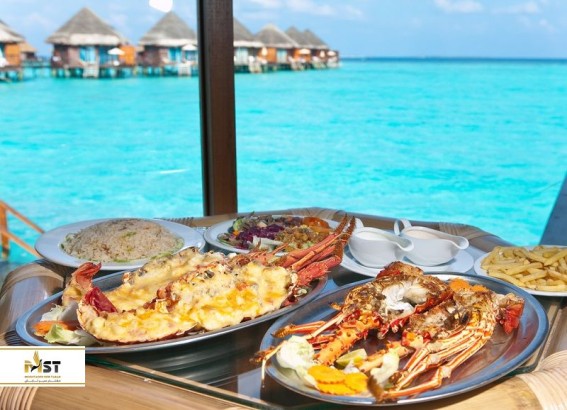 راهنمای انتخاب بهترین غذای مالدیو راهنمای انتخاب بهترین غذای مالدیو