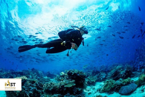 غواصی و اسنورکلینگ در مالدیو