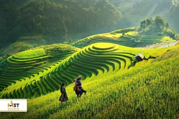 شالیزارهای پلکانی بانائو و باتاد فیلیپین شالیزارهای پلکانی بانائو و باتاد فیلیپین