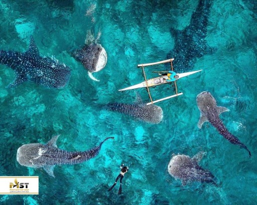 زیباترین جزایر فیلیپین برای سفر به سرزمین‌ سواحل سپید و آب‌های کریستالی