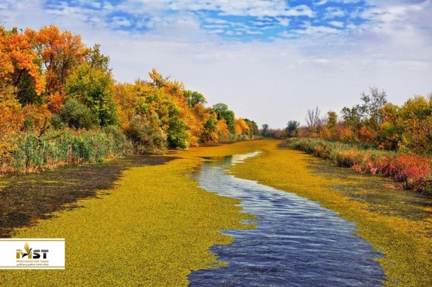 پرطرفدارترین و زیباترین تالابهای صربستان پرطرفدارترین و زیباترین تالابهای صربستان
