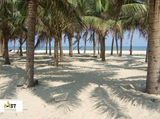 سواحل نزدیک به شهر هوشی مین در ویتنام