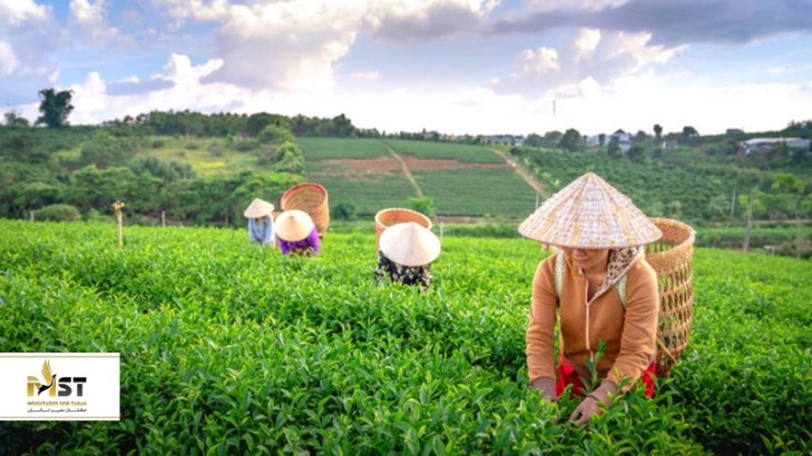 ۱۵ نقطه جذاب در شمال ویتنام