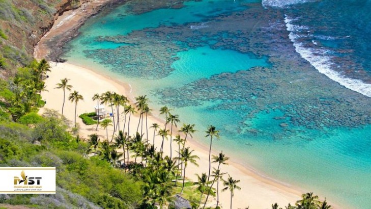 جذابترین مکانها در ویتنام برای ماجراجویی در دل طبیعت جذابترین مکانها در ویتنام برای ماجراجویی در دل طبیعت