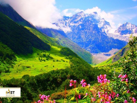 نوروز ۱۴۰۴ و گردش در دره گل‌های ارمنستان