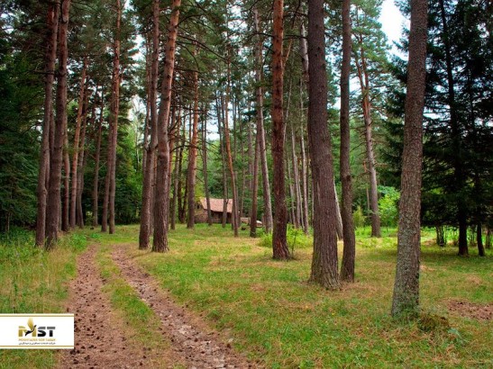 یک روز دلپذیر در مشهورترین پارکهای ملی ارمنستان یک روز دلپذیر در مشهورترین پارکهای ملی ارمنستان
