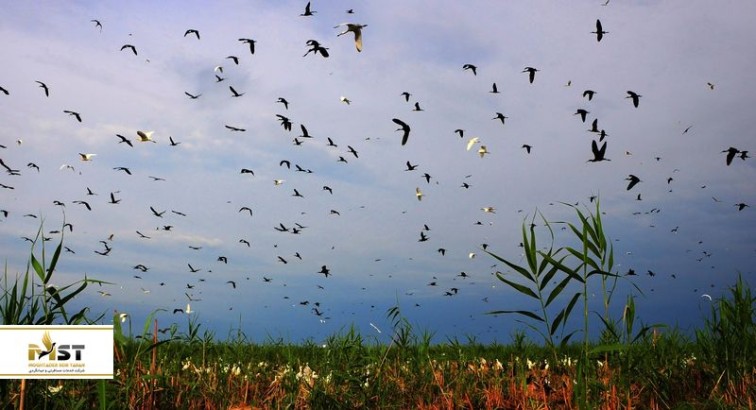 زیباترین پارکهای ملی آذربایجان ؛ برای آنهایی که عاشق طبیعت گردی هستند زیباترین پارکهای ملی آذربایجان ؛ برای آنهایی که عاشق طبیعت گردی هستند