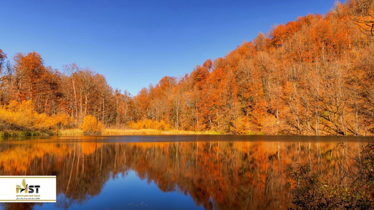 پارک ملی هیرکان در آذربایجان پارک ملی هیرکان در آذربایجان