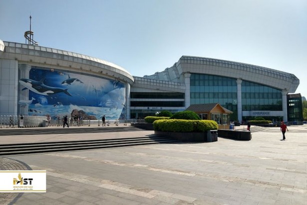 بازدید از آکواریوم شگفت‌انگیز پکن 