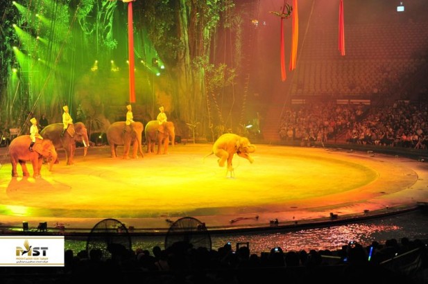 معرفی ۵ تفریح مهیج که باید همراه فرزندانتان در گوانجو تجربه کنید