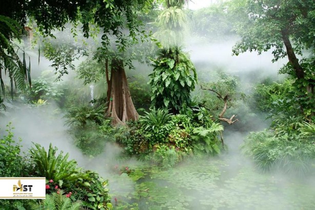 راهنمای بهترین کارها در سفر به گوانجو راهنمای بهترین کارها در سفر به گوانجو