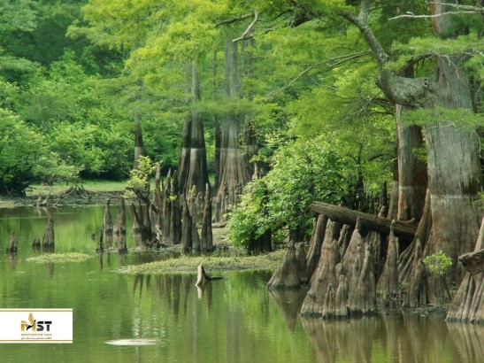 گشتی یکروزه در طبیعت اطراف پکن (بخش دوم)