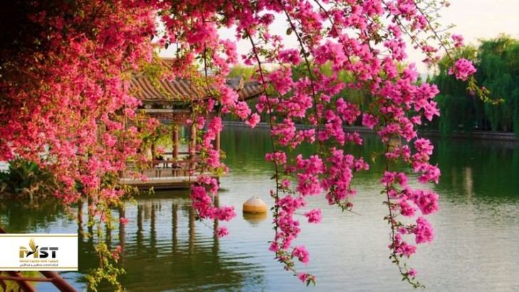 در سفر نوروزی به چین، این مکانهای گردشگری را حتما ببینید در سفر نوروزی به چین، این مکانهای گردشگری را حتما ببینید