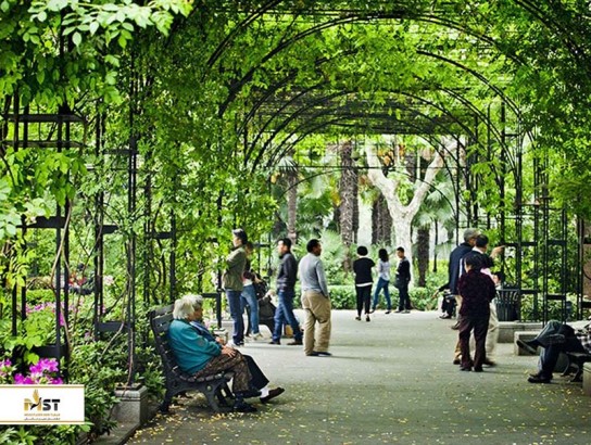 بهترین پارک ها و فضای سبز شانگهای