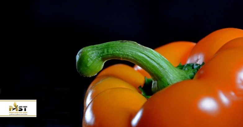 ۷ رستوران مخصوص گیاه‌خوارن در نیکوزیا پایتخت زیبایی‌های قبرس