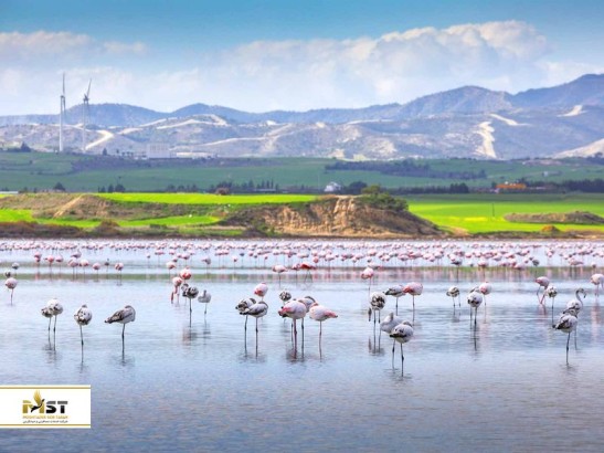 لارناکا کجاست؟ معرفی کامل شهر و جاذبه‌های دیدنی آن