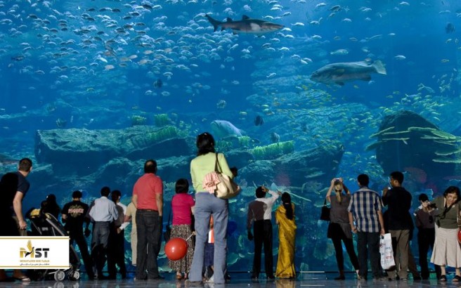 آکواریومهای دبی: تجربه دنیای زیر آب در آکواریوم دبی مال و آتلانتیس آکواریومهای دبی: تجربه دنیای زیر آب در آکواریوم دبی مال و آتلانتیس