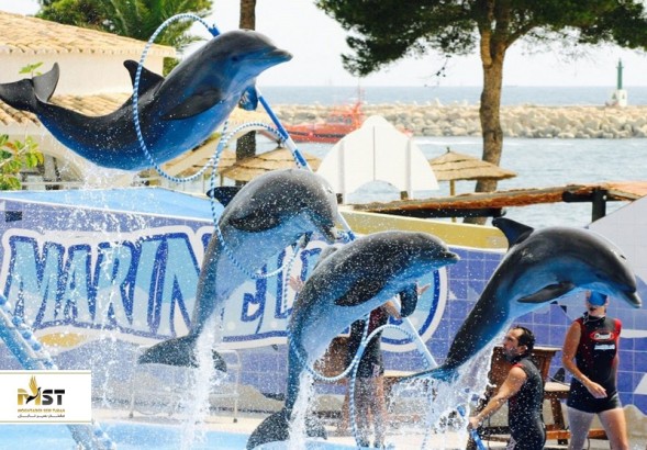 دلفیناریوم دبی قبل بازدید از آن