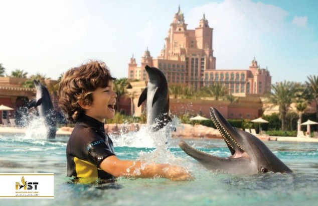 گشت و گذار در حوالی نهر دبی 