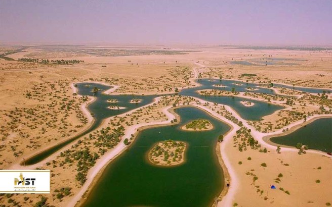 بهترین نقاط دبی برای گردش با سگ‌های خانگی