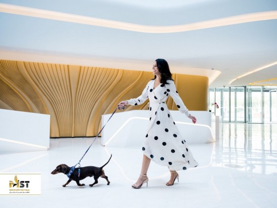 بهترین هتلهای دبی مناسب برای حیوانات خانگی بهترین هتلهای دبی مناسب برای حیوانات خانگی