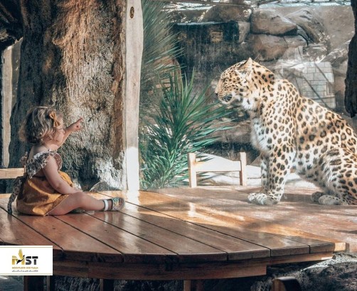 بازدید از حیوانات مختلف در دبی و اطراف آن