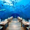 سفری کوتاه به زیر دریا در دبی سفری کوتاه به زیر دریا در دبی