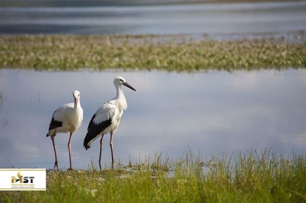 ۲۰ تصویر رویایی که شما را عاشق سفر به گرجستان می‌کند
