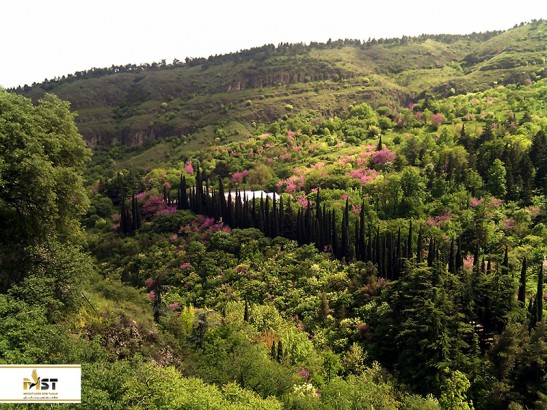 باغ گیاه شناسی ملی گرجستان در تفلیس باغ گیاه شناسی ملی گرجستان در تفلیس